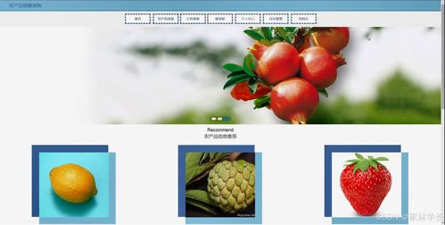 java計(jì)算機(jī)畢業(yè)設(shè)計(jì)農(nóng)產(chǎn)品銷(xiāo)售系統(tǒng) 開(kāi)題報(bào)告 源碼 論文