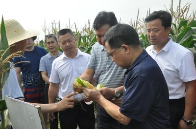 2021武漢種業(yè)博覽會·鮮食玉米產(chǎn)業(yè)大會在省現(xiàn)代農(nóng)業(yè)展示中心成功舉辦