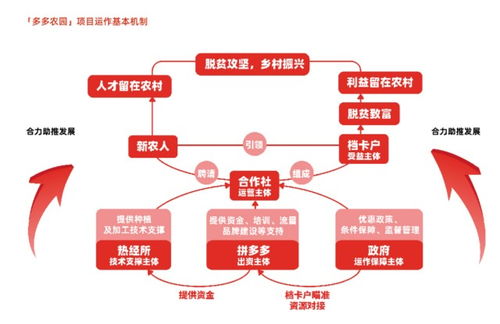 拼多多的另一面 用直播讓千萬農(nóng)民走出困境