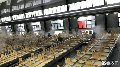 腐竹 廠價直銷 量大可訂做包裝規(guī)格許昌含鹽價格7.2元 斤 惠農網